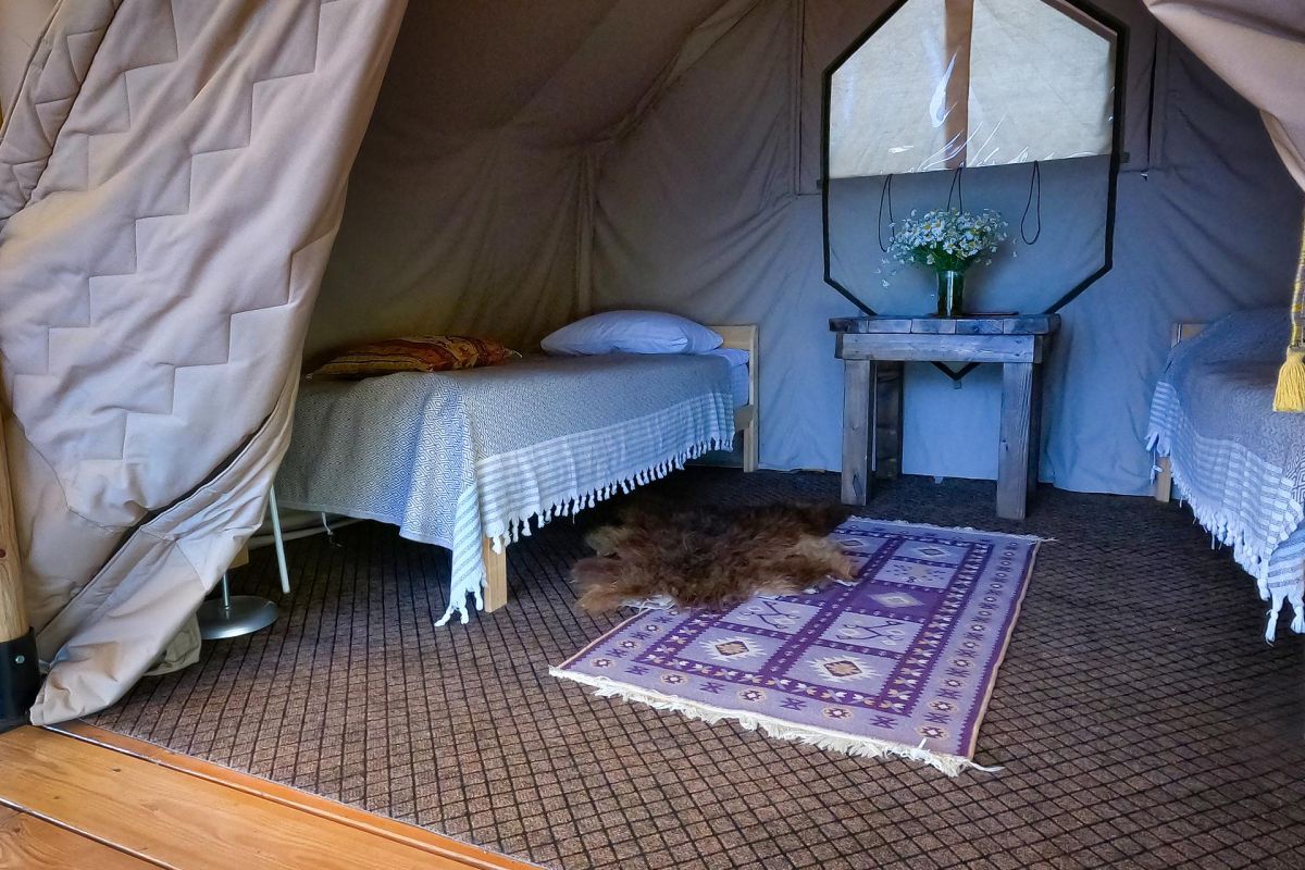 Знакомство с Чеченской Республикой