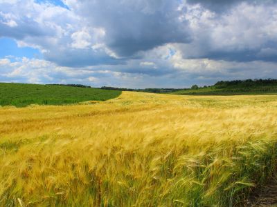 Ростовская область